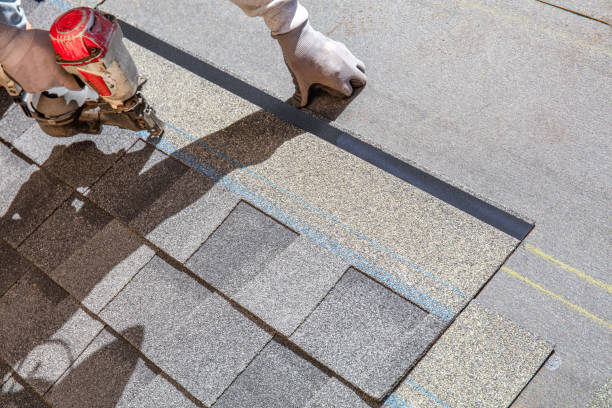 Best Roof Gutter Cleaning  in Lochbuie, CO